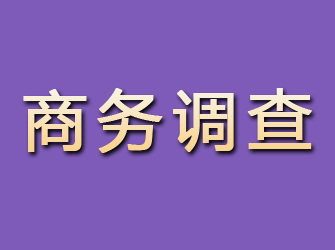 晋江商务调查